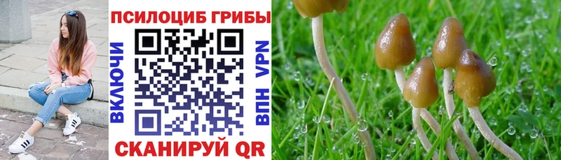 Псилоцибиновые грибы MAGIC MUSHROOMS  Задонск 